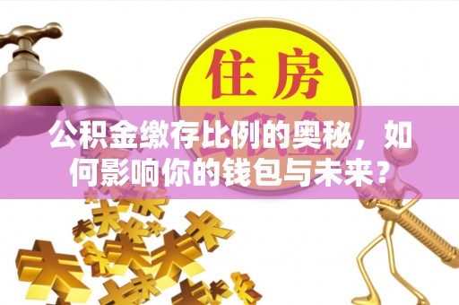 雷山公积金缴存比例的奥秘，如何影响你的钱包与未来？