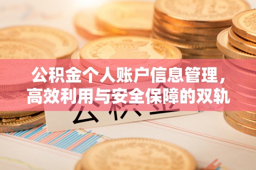 雷山公积金个人账户信息管理，高效利用与安全保障的双轨并行