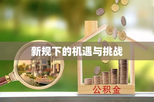 雷山新规下的机遇与挑战