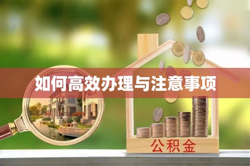 雷山如何高效办理与注意事项