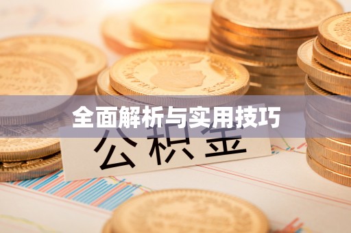 雷山全面解析与实用技巧