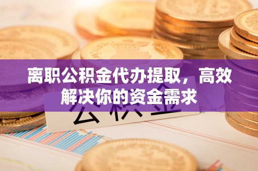雷山离职公积金代办提取，高效解决你的资金需求