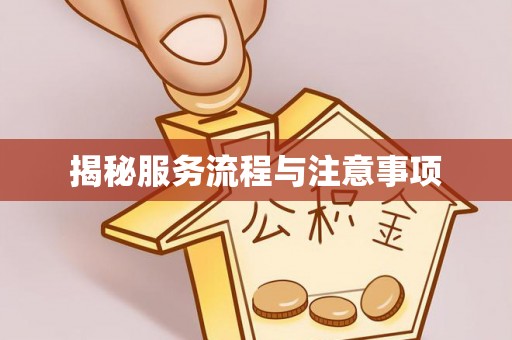 雷山揭秘服务流程与注意事项