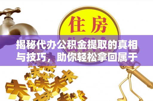 雷山揭秘代办公积金提取的真相与技巧，助你轻松拿回属于你的钱