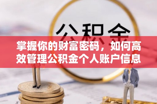 雷山掌握你的财富密码，如何高效管理公积金个人账户信息