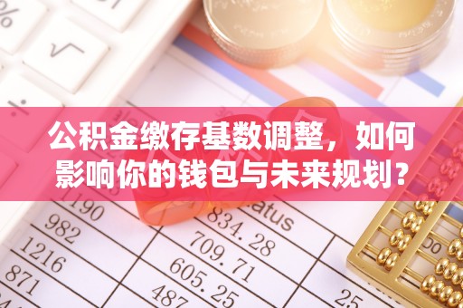 雷山公积金缴存基数调整，如何影响你的钱包与未来规划？