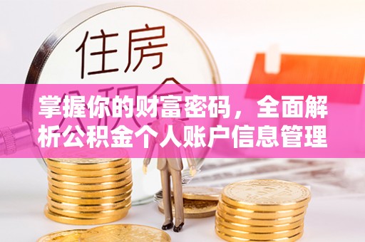 雷山掌握你的财富密码，全面解析公积金个人账户信息管理与优化