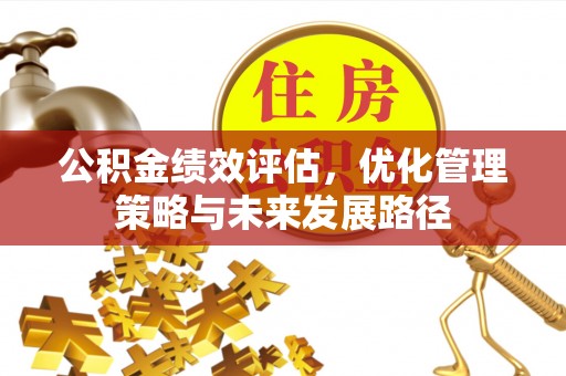 雷山公积金绩效评估，优化管理策略与未来发展路径