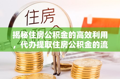 雷山揭秘住房公积金的高效利用，代办提取住房公积金的流程与技巧