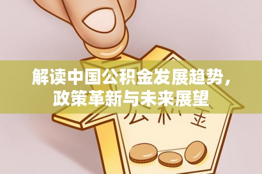 雷山解读中国公积金发展趋势，政策革新与未来展望