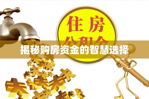 雷山揭秘购房资金的智慧选择