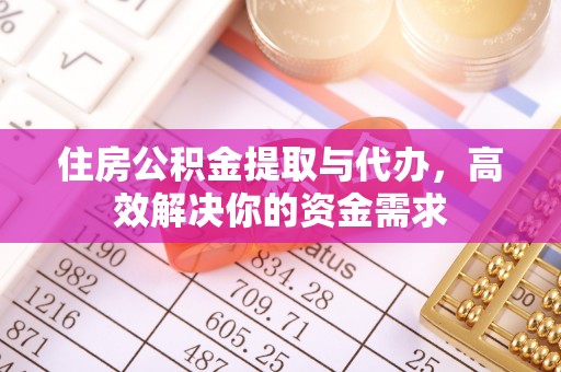 雷山住房公积金提取与代办，高效解决你的资金需求