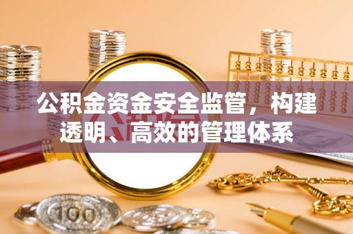 雷山公积金资金安全监管，构建透明、高效的管理体系