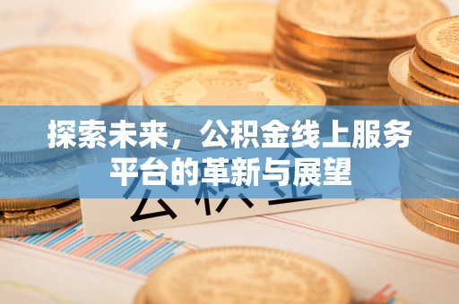 雷山探索未来，公积金线上服务平台的革新与展望