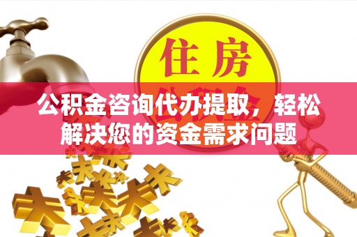 雷山公积金咨询代办提取，轻松解决您的资金需求问题