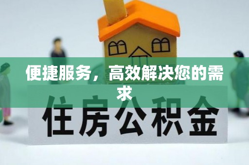 雷山便捷服务，高效解决您的需求