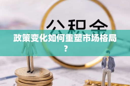 雷山政策变化如何重塑市场格局？