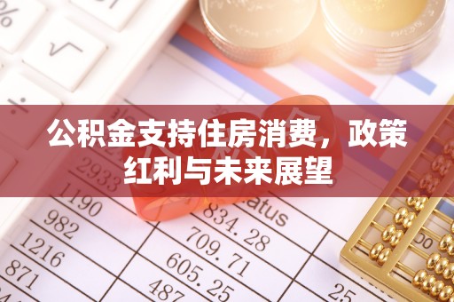 雷山公积金支持住房消费，政策红利与未来展望