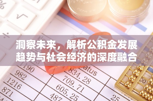 雷山洞察未来，解析公积金发展趋势与社会经济的深度融合