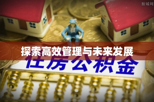 雷山探索高效管理与未来发展