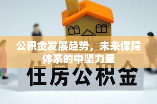 雷山公积金发展趋势，未来保障体系的中坚力量