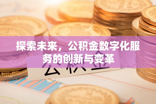 雷山探索未来，公积金数字化服务的创新与变革