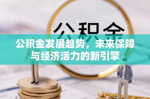 雷山公积金发展趋势，未来保障与经济活力的新引擎