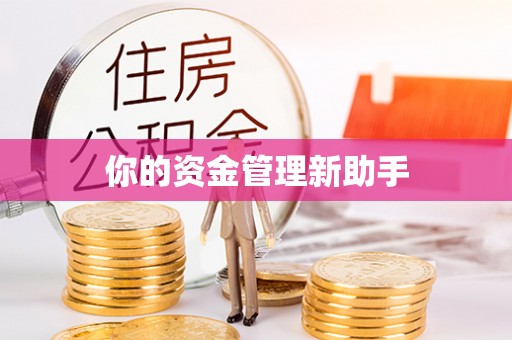 雷山你的资金管理新助手
