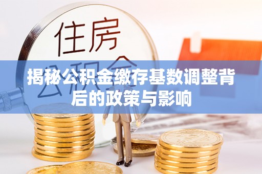 雷山揭秘公积金缴存基数调整背后的政策与影响