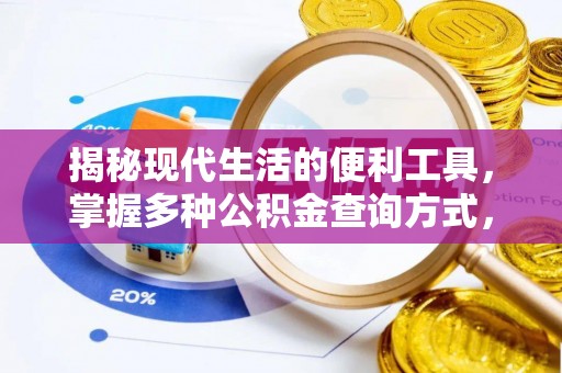 雷山揭秘现代生活的便利工具，掌握多种公积金查询方式，让财富管理更轻松