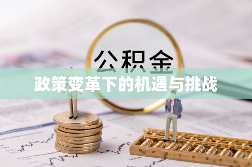 雷山政策变革下的机遇与挑战