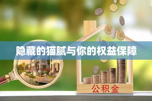 雷山隐藏的猫腻与你的权益保障