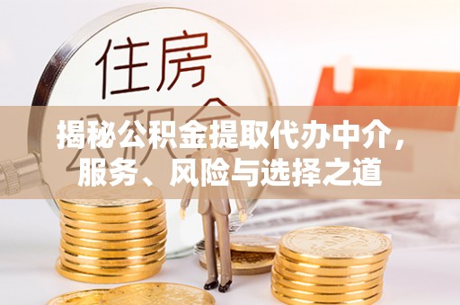 雷山揭秘公积金提取代办中介，服务、风险与选择之道