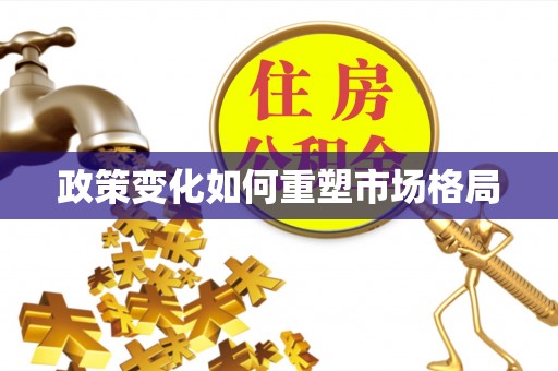 雷山政策变化如何重塑市场格局