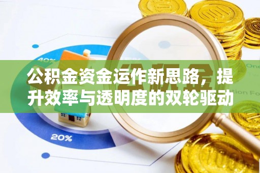 雷山公积金资金运作新思路，提升效率与透明度的双轮驱动