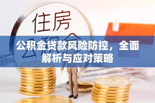 雷山公积金贷款风险防控，全面解析与应对策略