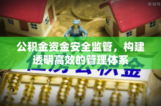 雷山公积金资金安全监管，构建透明高效的管理体系