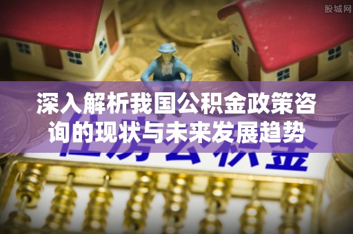 雷山深入解析我国公积金政策咨询的现状与未来发展趋势