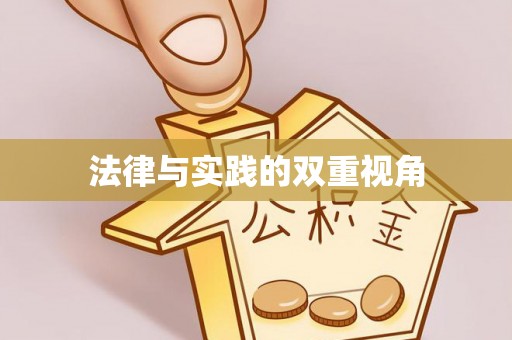 雷山法律与实践的双重视角
