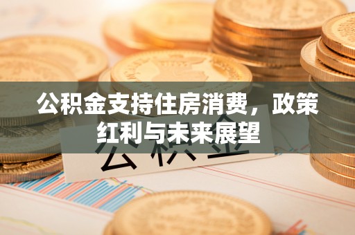 雷山公积金支持住房消费，政策红利与未来展望