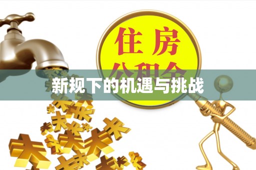 雷山新规下的机遇与挑战