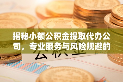 雷山揭秘小额公积金提取代办公司，专业服务与风险规避的平衡艺术