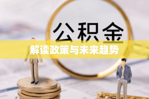 雷山解读政策与未来趋势