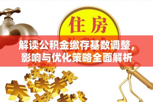 雷山解读公积金缴存基数调整，影响与优化策略全面解析