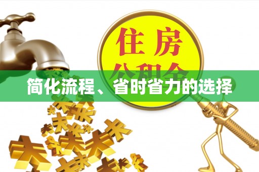 雷山简化流程、省时省力的选择