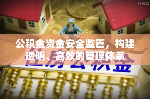 雷山公积金资金安全监管，构建透明、高效的管理体系