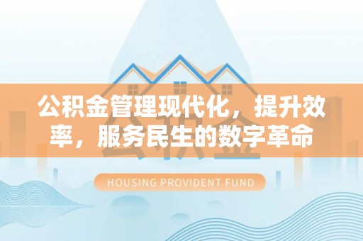 雷山公积金管理现代化，提升效率，服务民生的数字革命