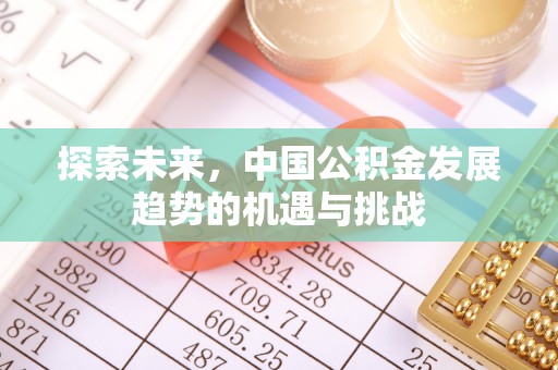 雷山探索未来，中国公积金发展趋势的机遇与挑战