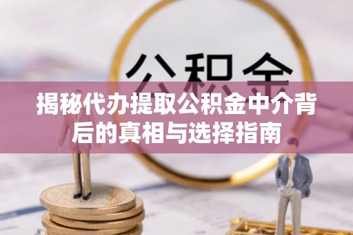 雷山揭秘代办提取公积金中介背后的真相与选择指南