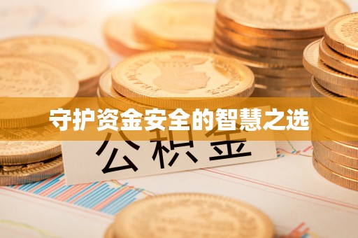 雷山守护资金安全的智慧之选